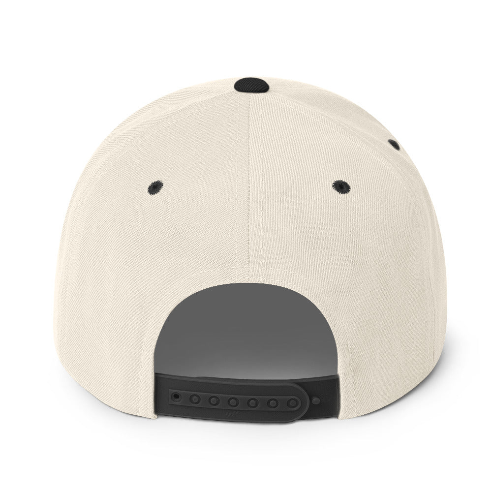 FANCY SFSB Snapback Hat