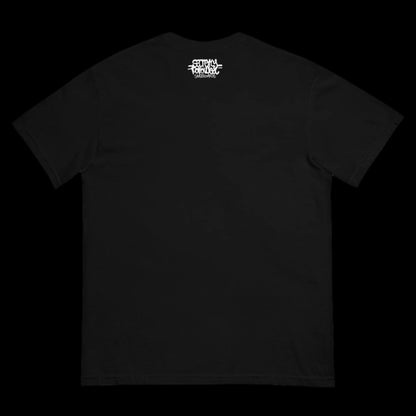 SFSB PURP heavyweight t-shirt