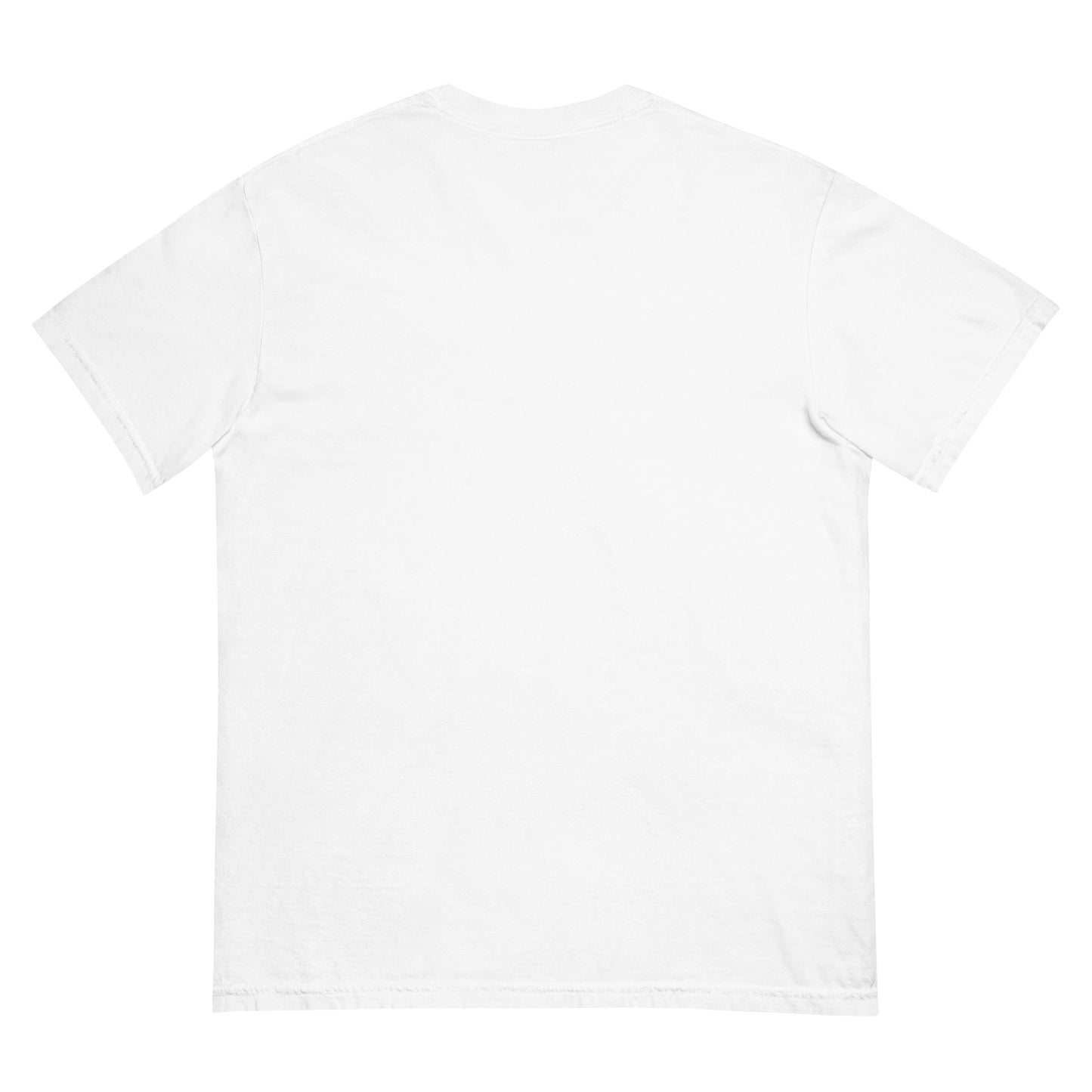 SFSB SNOW heavyweight t-shirt